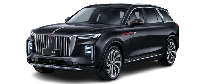 هونشي E-HS9 Executive