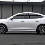 بي-واي-دي-تشين-بلس-المربع-نت-30