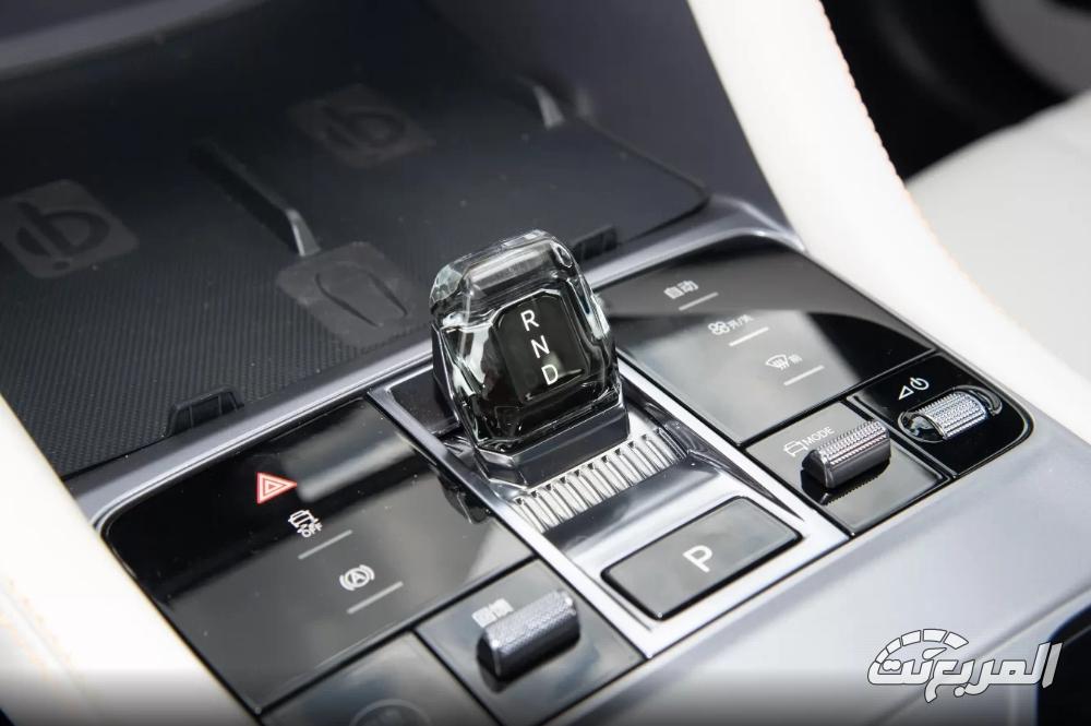 بي-واي-دي-سونج-بلس-المربع-نت-13