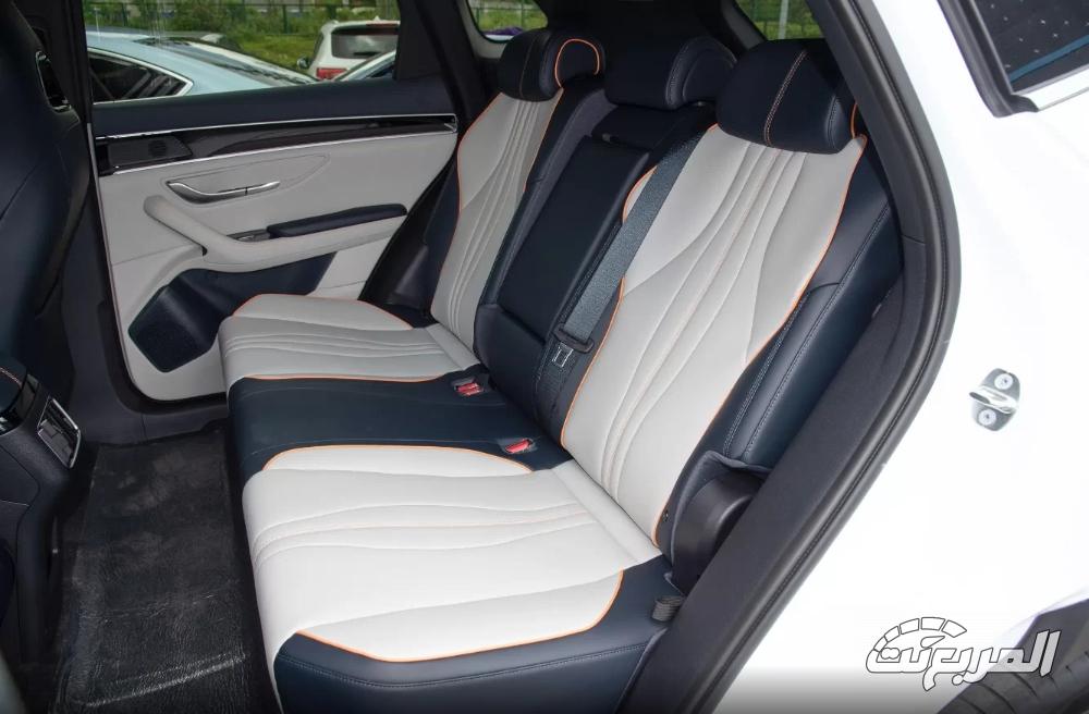 بي-واي-دي-سونج-بلس-المربع-نت-16