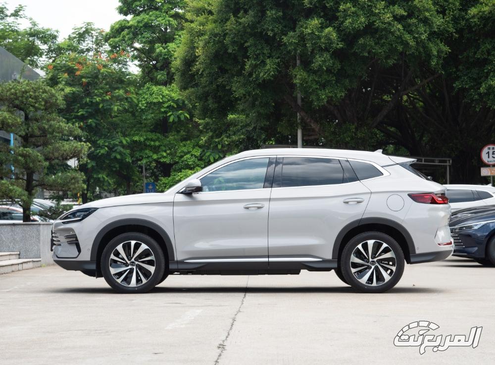 بي-واي-دي-سونج-بلس-المربع-نت-3