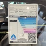 ام-جي-zs-المربع-نت-18-2