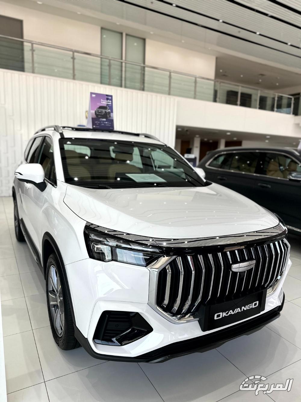 جيلي-أوكافنجو-المربع-نت-1-2