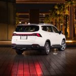 جيلي-أوكافنجو-المربع-نت-22