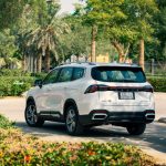 جيلي-أوكافنجو-المربع-نت-24