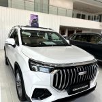 جيلي-أوكافنجو-المربع-نت-27-2