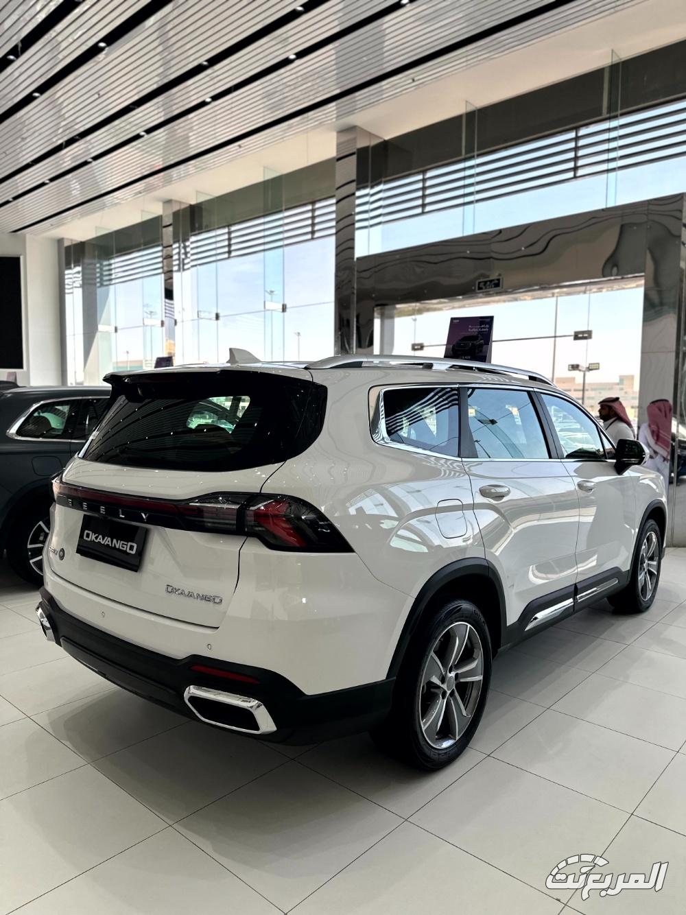 جيلي-أوكافنجو-المربع-نت-28-2