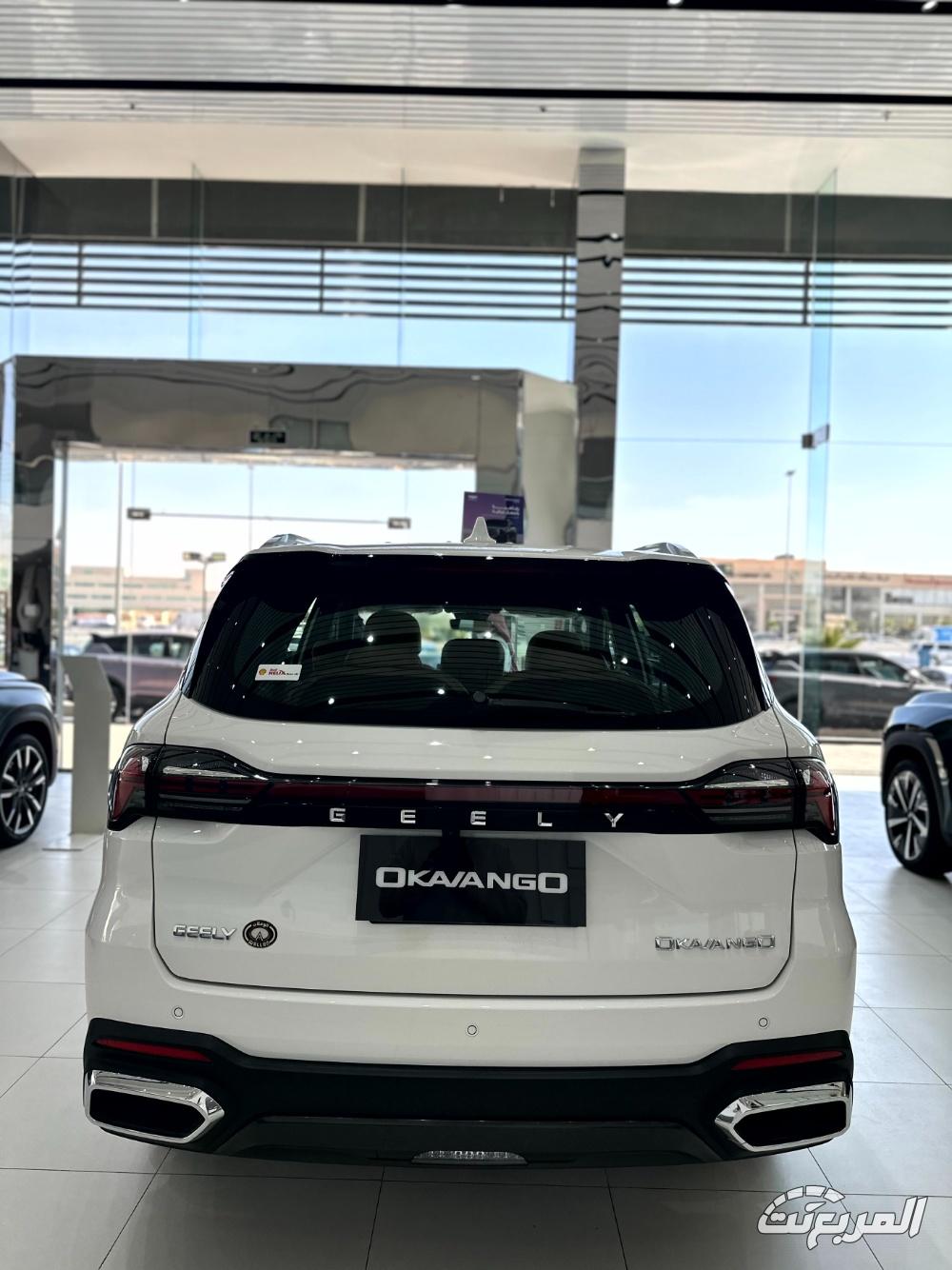 جيلي-أوكافنجو-المربع-نت-29-2