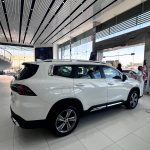 جيلي-أوكافنجو-المربع-نت-30-2