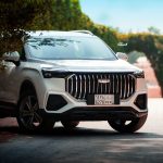 جيلي-أوكافنجو-المربع-نت-30