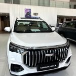 جيلي-أوكافنجو-المربع-نت-42