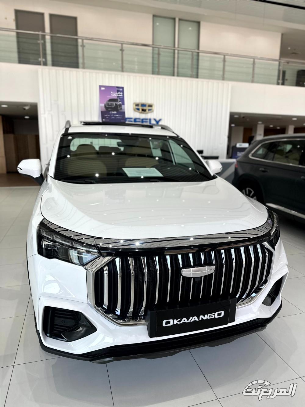 جيلي-أوكافنجو-المربع-نت-42