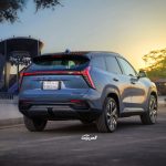 جيلي-ستار-راي-المربع-نت-10