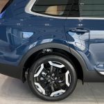 كيا-تيلورايد-المربع-نت-30-2