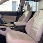 كيا-تيلورايد-المربع-نت-66