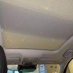 هافال-جوليان-المربع-نت-21-4