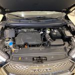 هافال-جوليان-المربع-نت-32-2