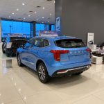 هافال-جوليان-المربع-نت-34-2