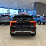 هافال-جوليان-المربع-نت-47-2