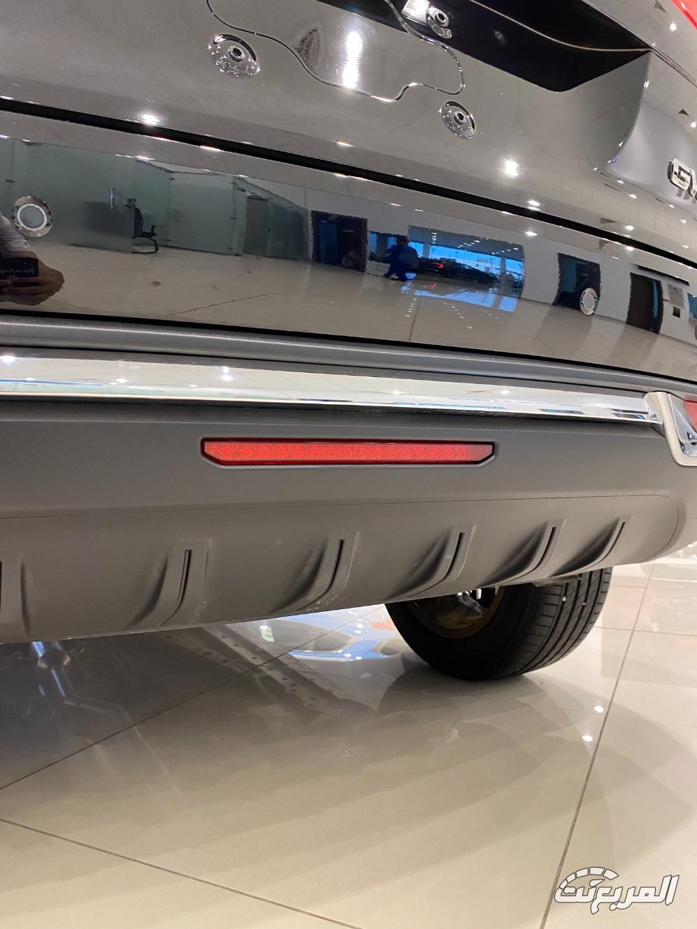 هافال-جوليان-المربع-نت-50-2