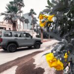 تانك-300-المربع-نت-11-3