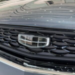 جيلي-توجيلا-المربع-نت-12-2