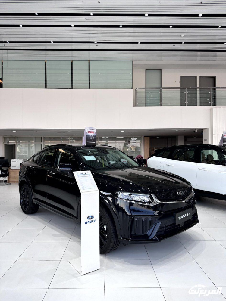 جيلي-توجيلا-المربع-نت-17-2