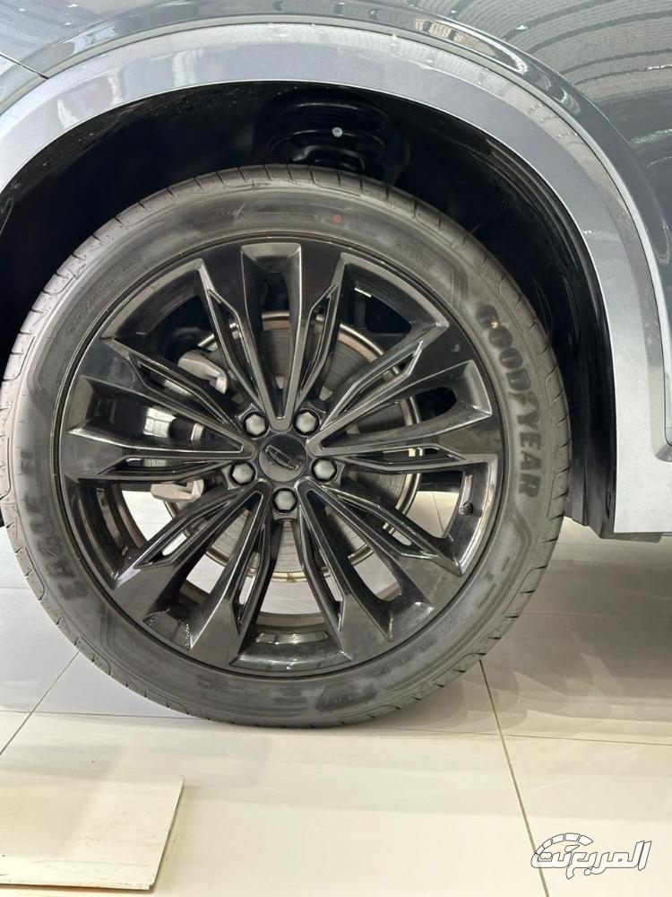 جيلي-توجيلا-المربع-نت-8-2