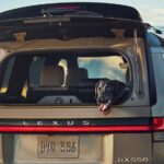 لكزس-gx-المربع-نت-26