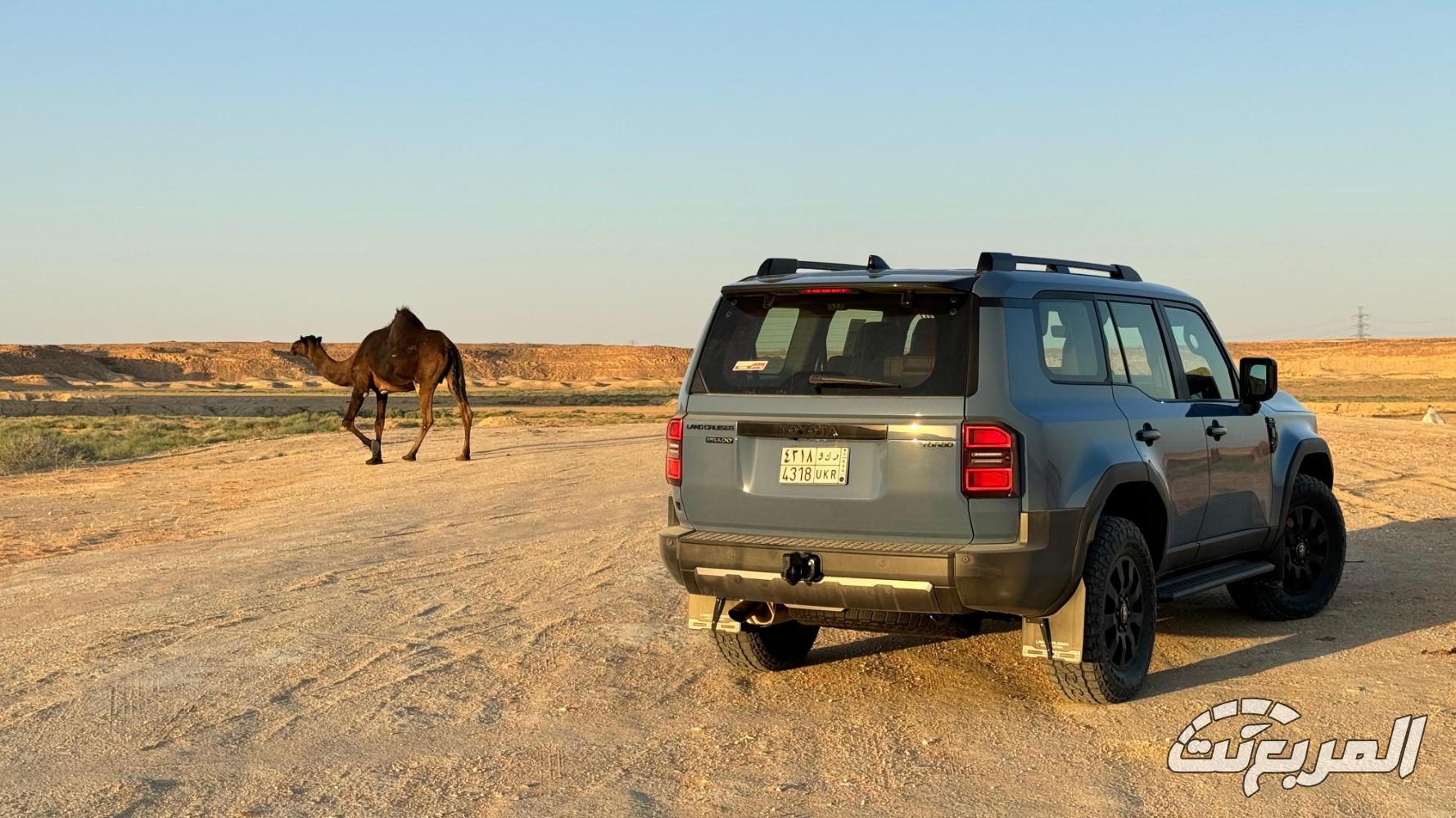 تويوتا-برادو-المربع-نت-10-3