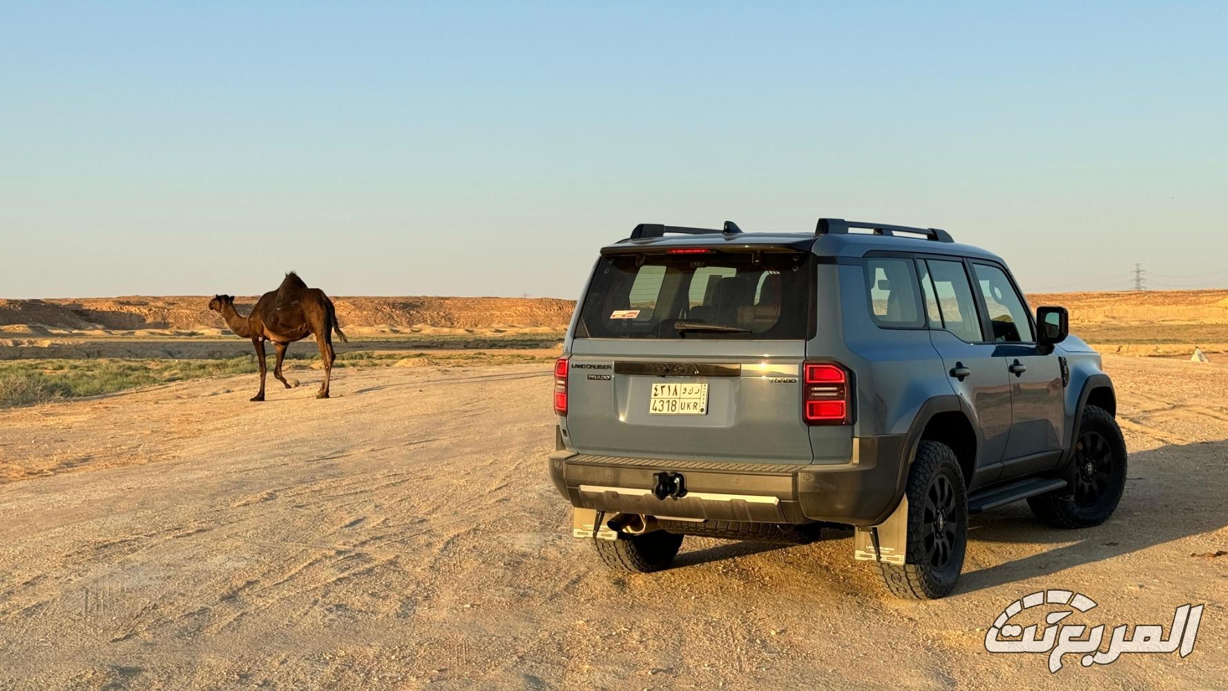 تويوتا-برادو-المربع-نت-14-3