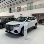 جيلي-اوكافانجو-2024-1-3