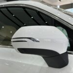 جيلي-اوكافانجو-2024-11-3