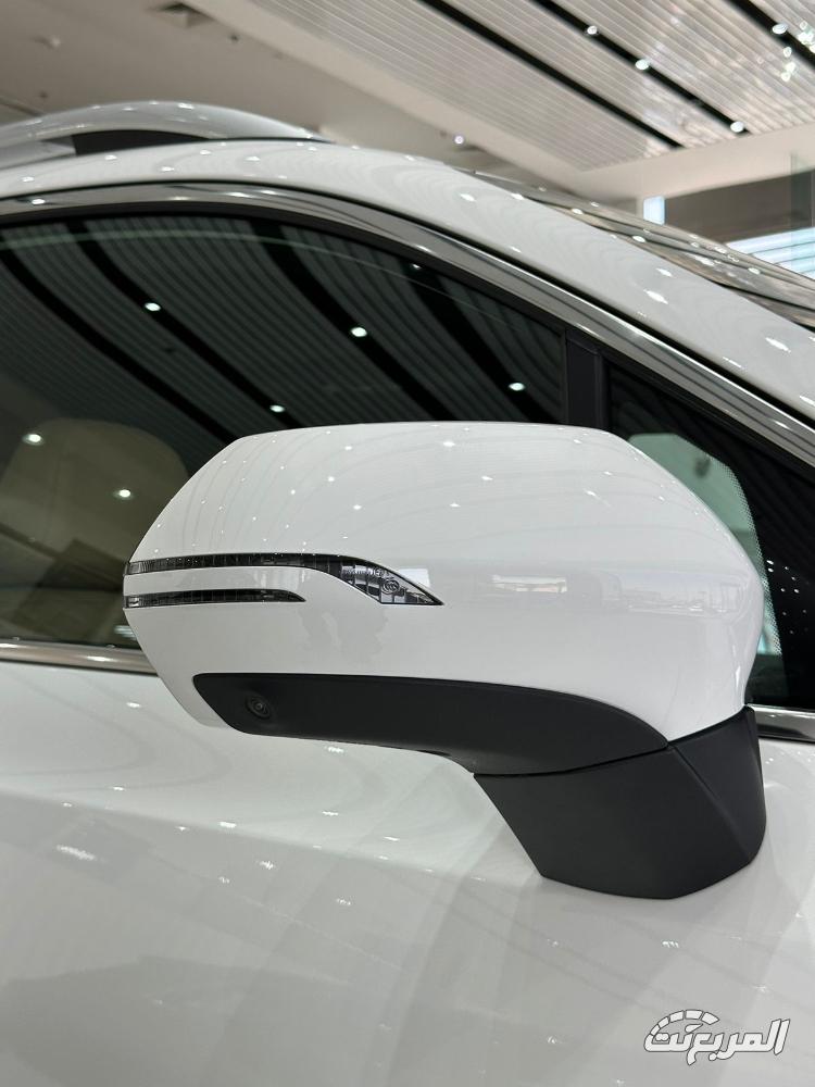 جيلي-اوكافانجو-2024-11-3