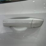 جيلي-اوكافانجو-2024-15-3