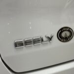 جيلي-اوكافانجو-2024-7-3