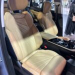 جيلي-ستارراي-المربع-نت-15