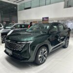 جيلي-ستارراي-المربع-نت-2