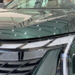 جيلي-ستارراي-المربع-نت-22