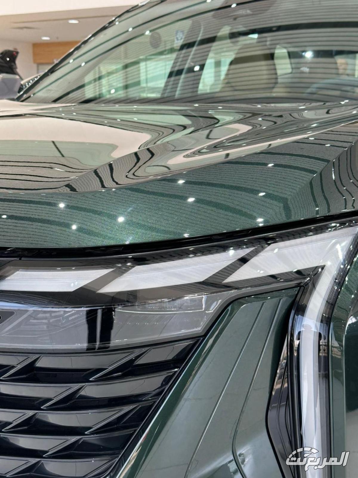 جيلي-ستارراي-المربع-نت-22