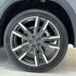 جيلي-مونجارو-المربع-نت-11