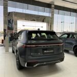 جيلي-مونجارو-المربع-نت-2