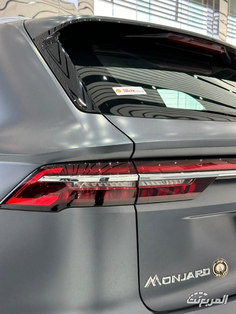 جيلي-مونجارو-المربع-نت-9