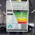 رينو-اركانا-المربع-نت-10