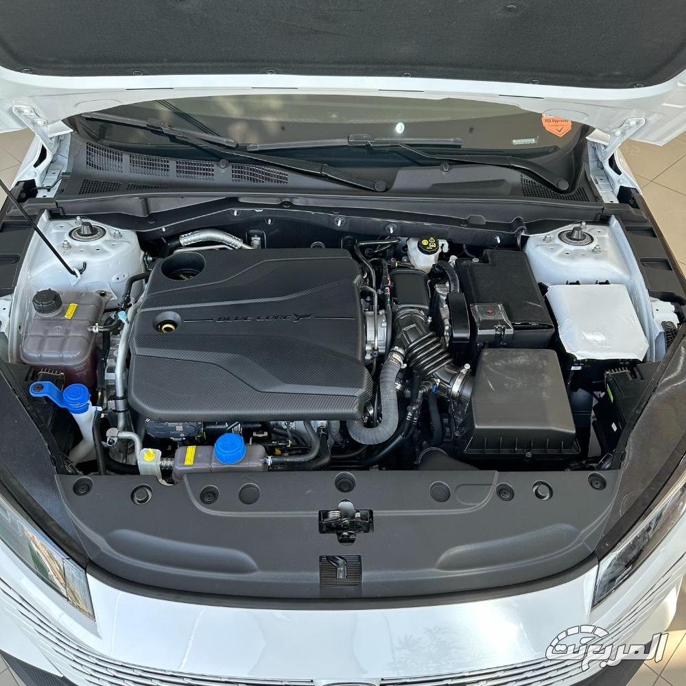 شانجان-ايدو-بلس-المربع-نت-7-3