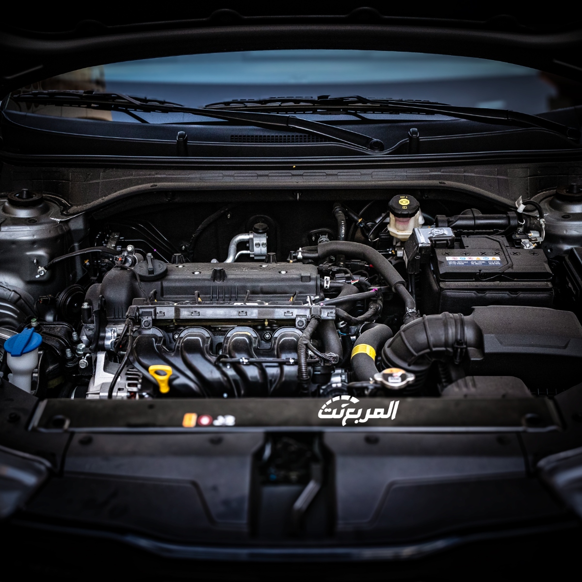 كيا-k3-المربع-نت-19-5