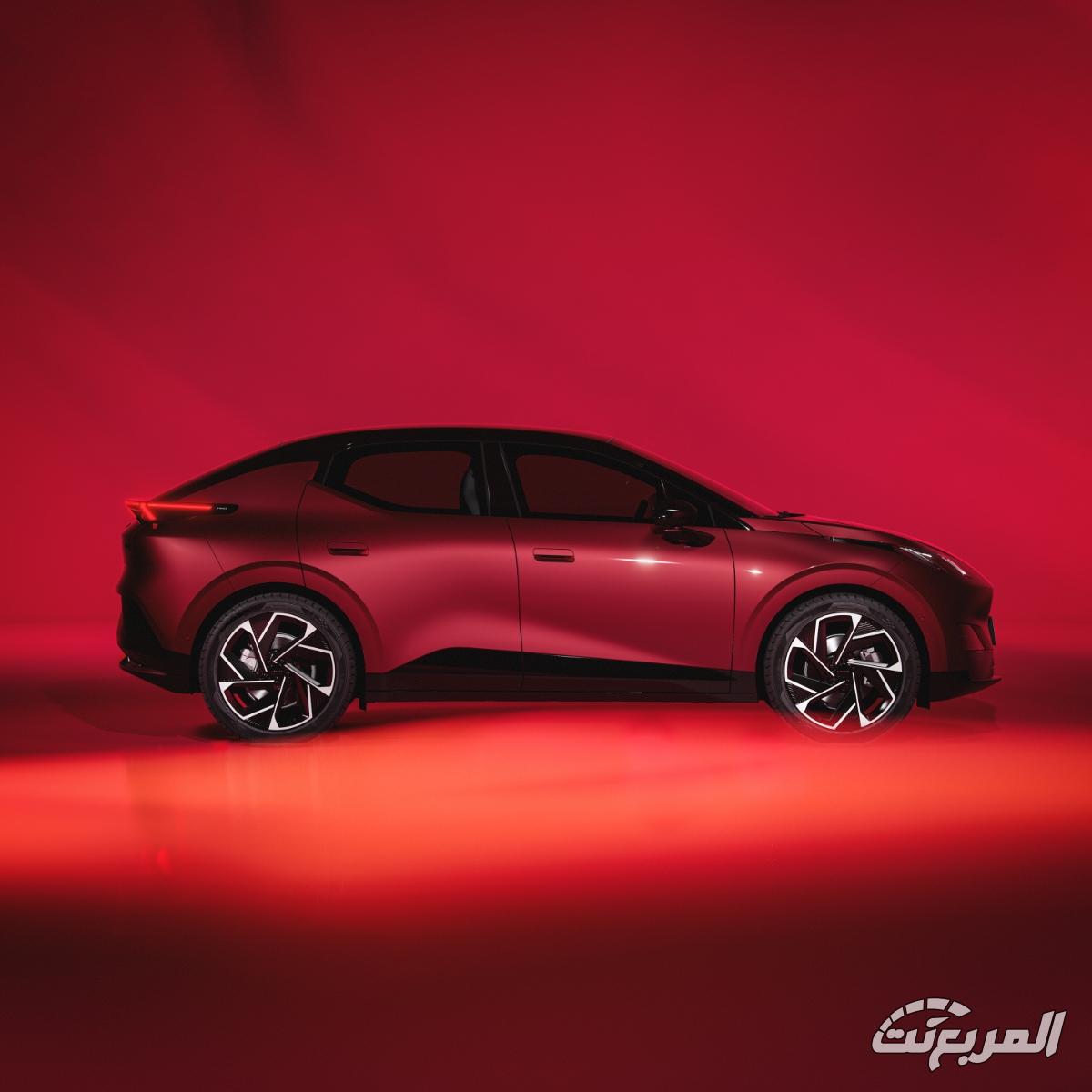 لينك-اند-كو-02-المربع-نت-11