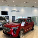 هافال-جوليان-المربع-نت-19-5