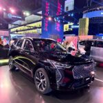 هافال-جوليان-المربع-نت-29-3