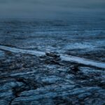 تيسلا-سايبرتراك-المربع-نت-2